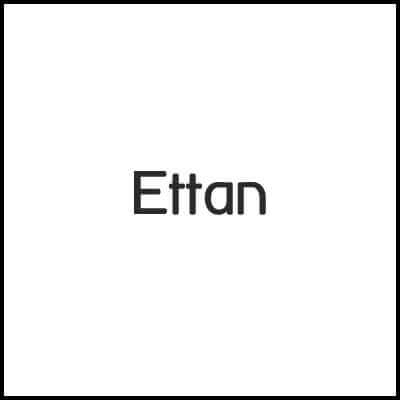 Ettan snus