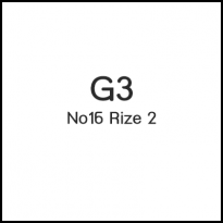 G3 No16 Rize 2